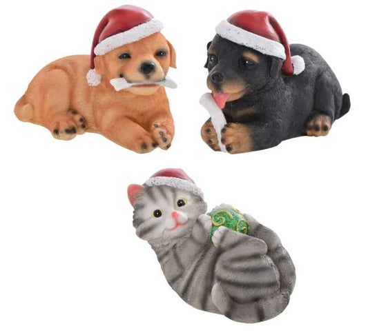 Christmas Cats & Dogs