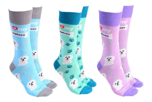 Maltese Terrier Socks