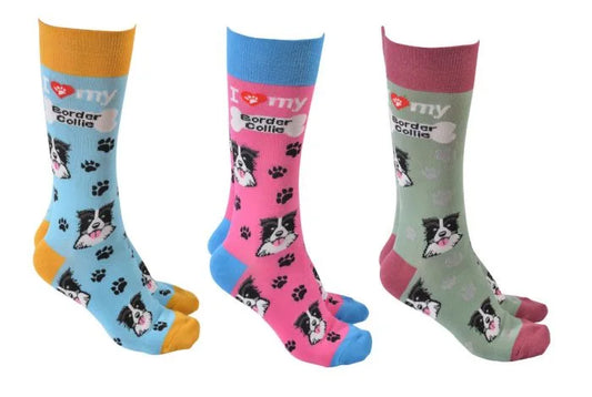 Border Collie Socks