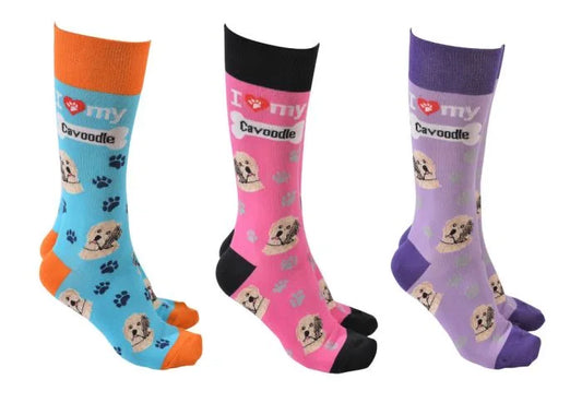 Cavoodle Socks