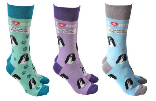 Cavalier King Charles Socks