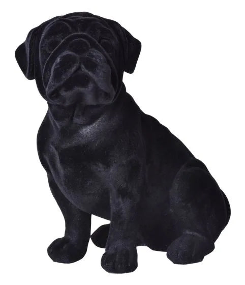 Black Velvet Pug