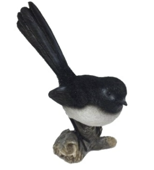 Willy Wagtail