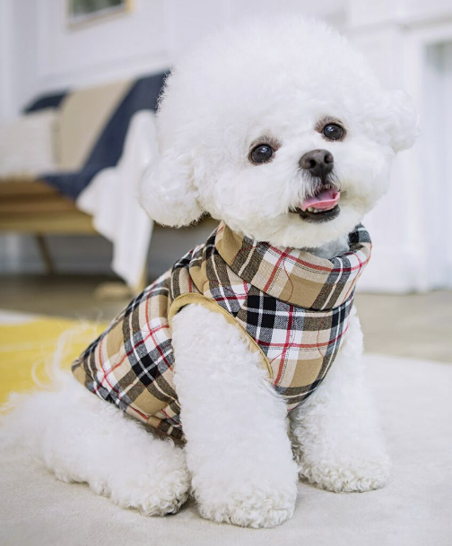 Small Tartan Dog Clothes