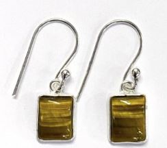 SS-C Tiger Eye Earrings