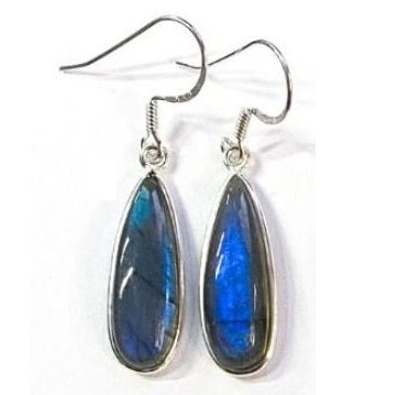 SS Long Teardrop Earrings