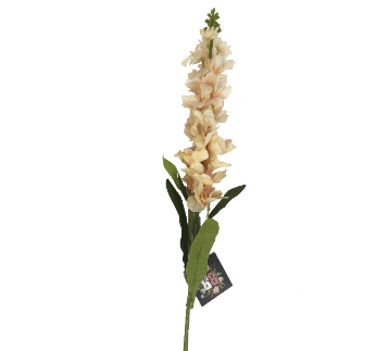 Apricot Silk Delphinium Single Stem (79cm)