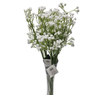 Baby Breath (68cm)