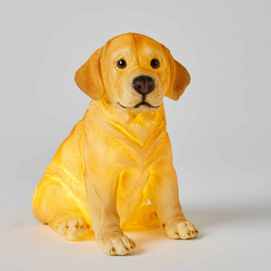 Labrador Night Light