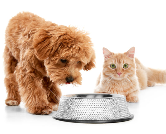 Luxury Rhinestone Pet Bowl